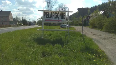 Ogrodnictwo Sławińscy